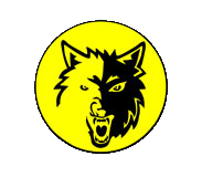 野狼網(wǎng)絡(luò)