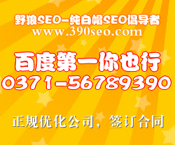 野狼seo