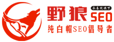 鄭州網(wǎng)站優(yōu)化公司-SEO外包、快照排名推廣服務(wù)-野狼SEO團(tuán)隊(duì)