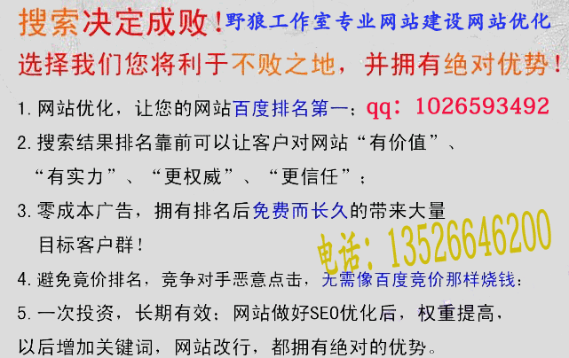 野狼純白帽SEO優(yōu)化要點(diǎn)