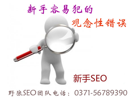 網(wǎng)站優(yōu)化過程中新手容易犯的觀念性錯(cuò)誤