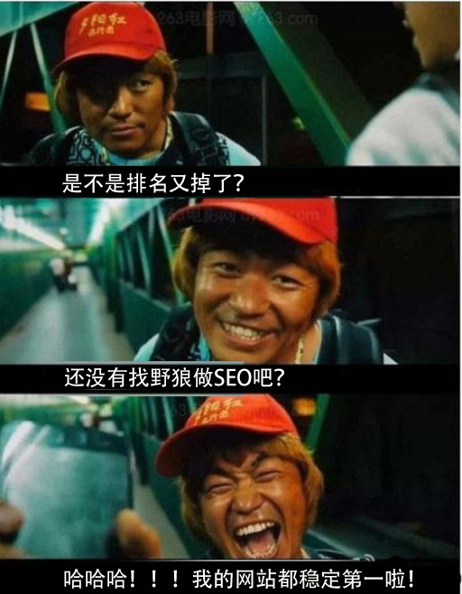 網(wǎng)絡(luò)推廣哪家強，中國鄭州找野狼